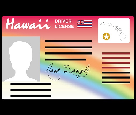 hawaii drivers license template psd free download