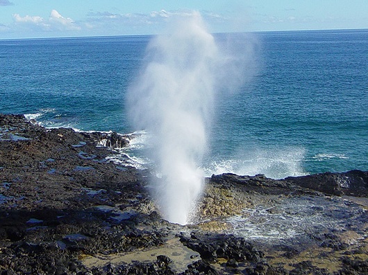 Overnight Filming At Hanauma Bay And Blow Hole Hawaii News Online Independent Trusted